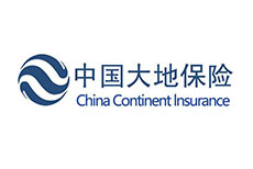 中国大地保险
